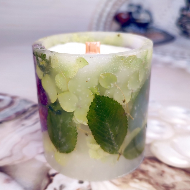 Шиповник в воске