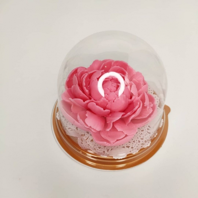 Пион в куполе