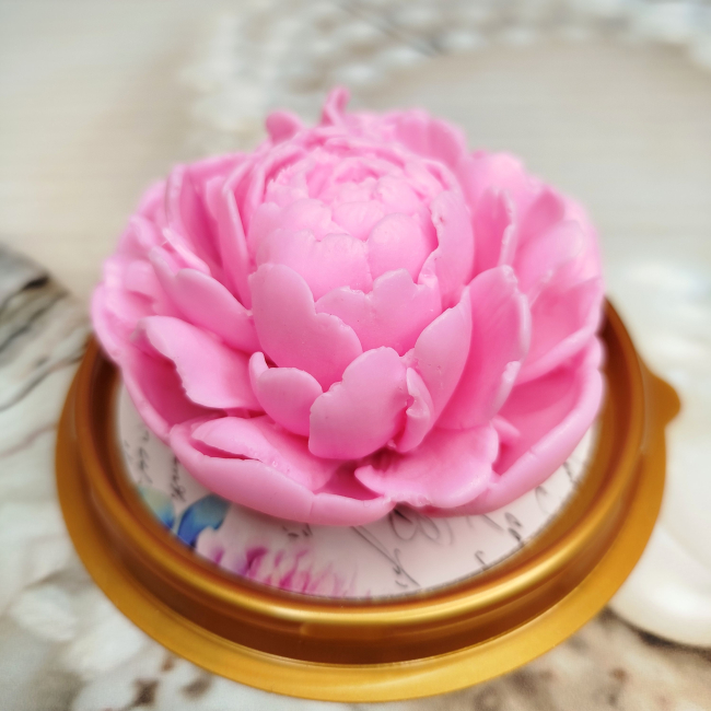 Пион в куполе