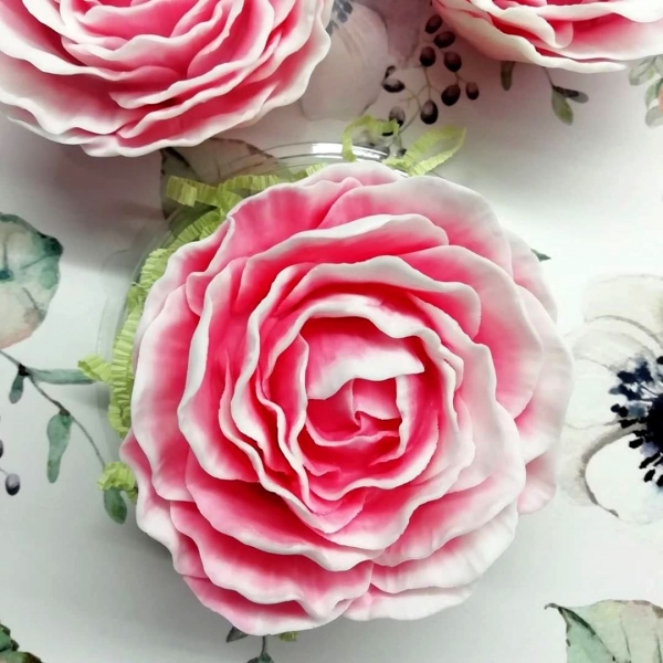 Роза под куполом