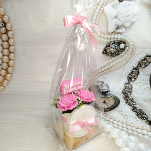 Лучшему учителю