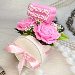 Лучшему учителю