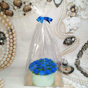 Василиса в упаковке