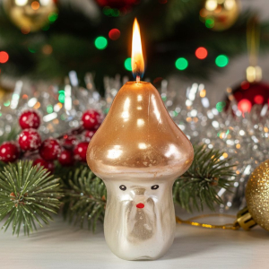 горящий боровик