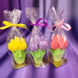 myloland.by Мини-букетик тюльпанов