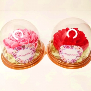 Мыльный пион впластиковом куполе