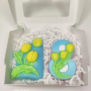 Набор "Тюльпаны"